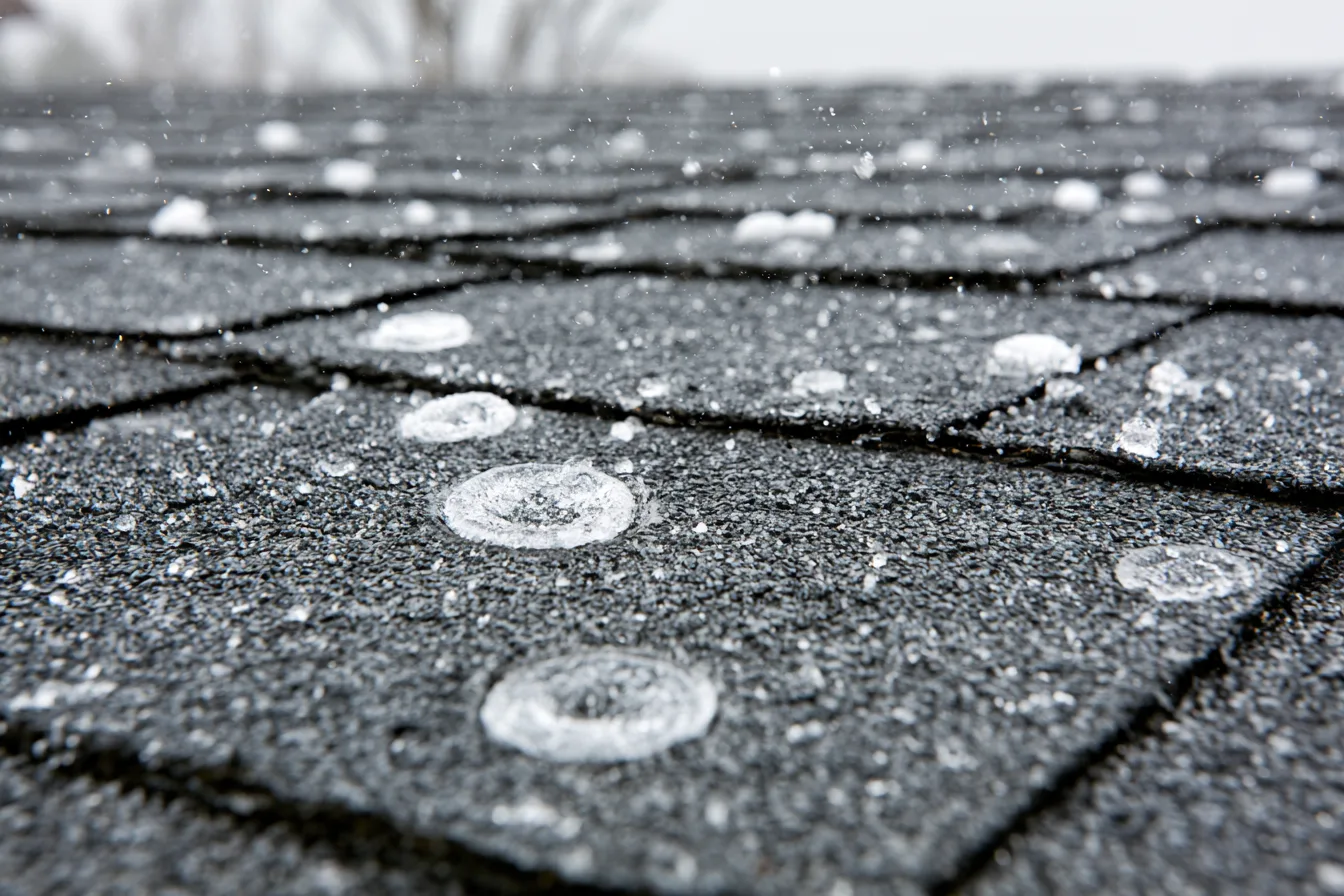 Hailstones resting on dark asphalt shingles